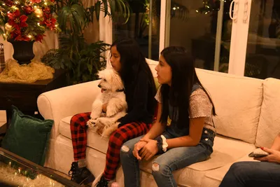 DSC_2586 (Large).JPG